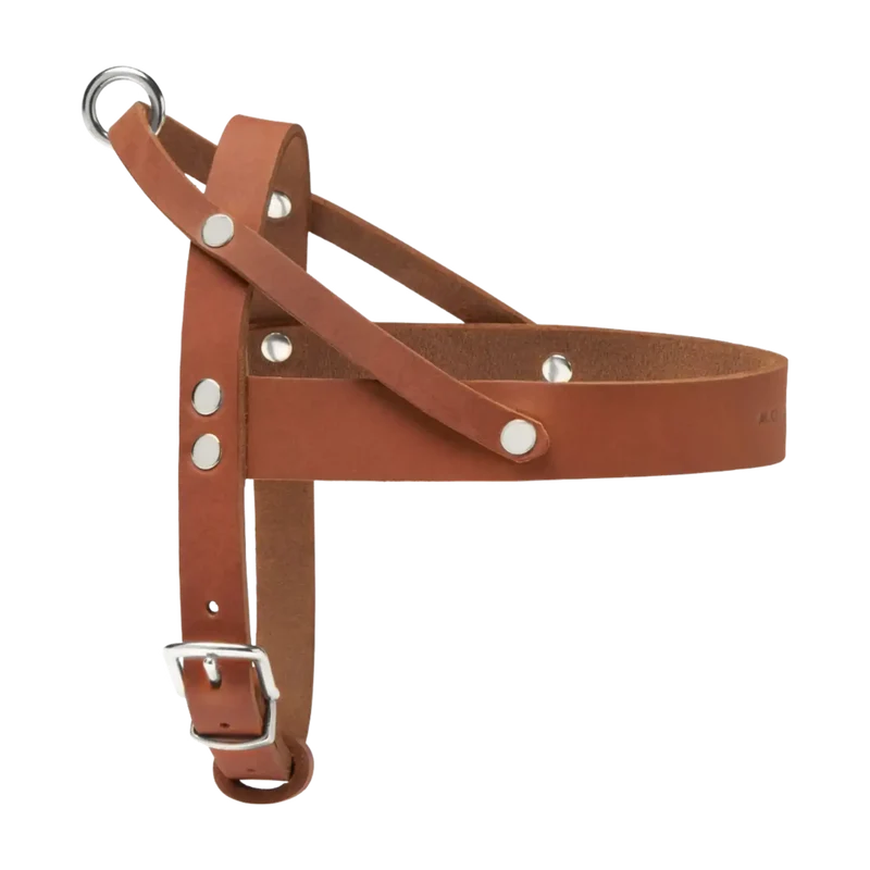 Butter Leather Geschirr