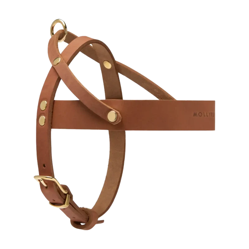 Butter Leather Geschirr
