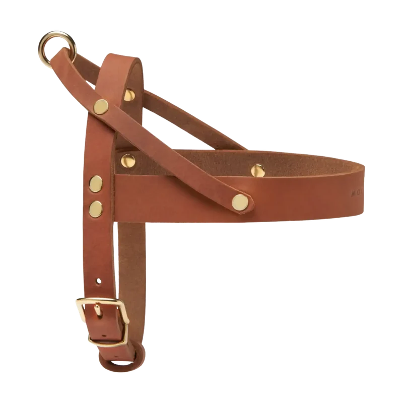 Butter Leather Geschirr
