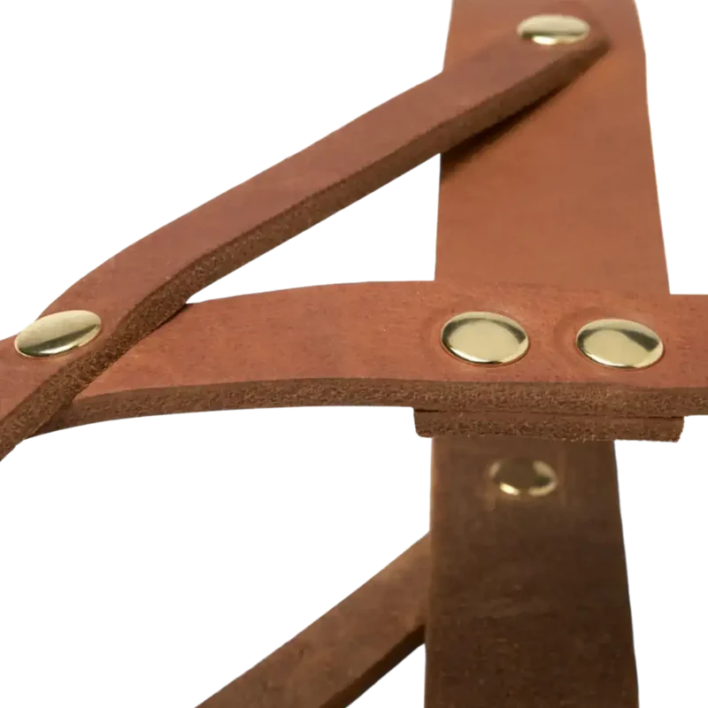 Butter Leather Geschirr