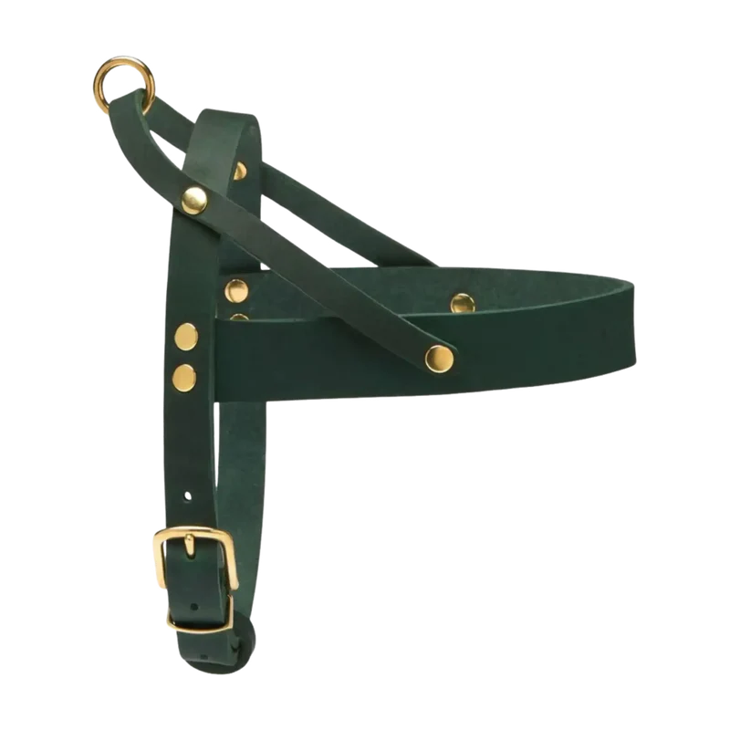 Butter Leather Geschirr