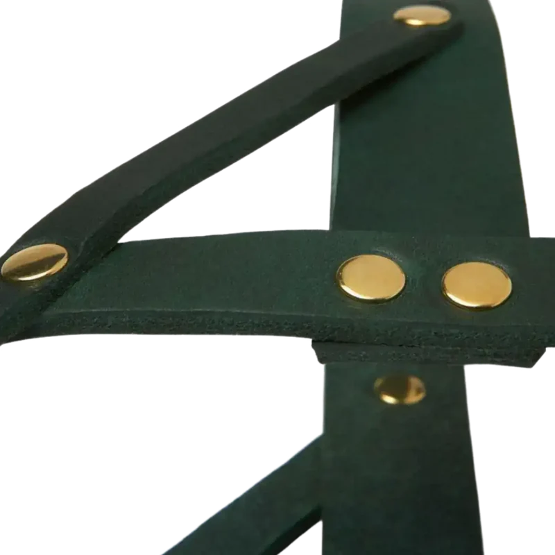 Butter Leather Geschirr