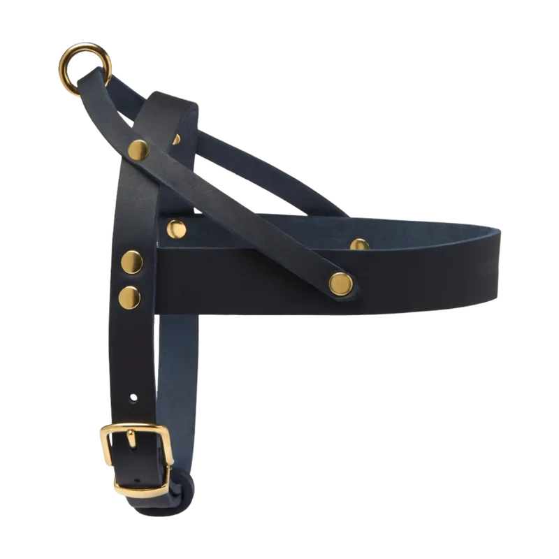 Butter Leather Geschirr