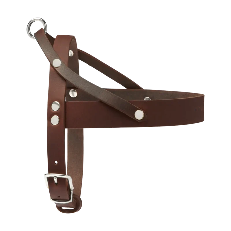 Butter Leather Geschirr
