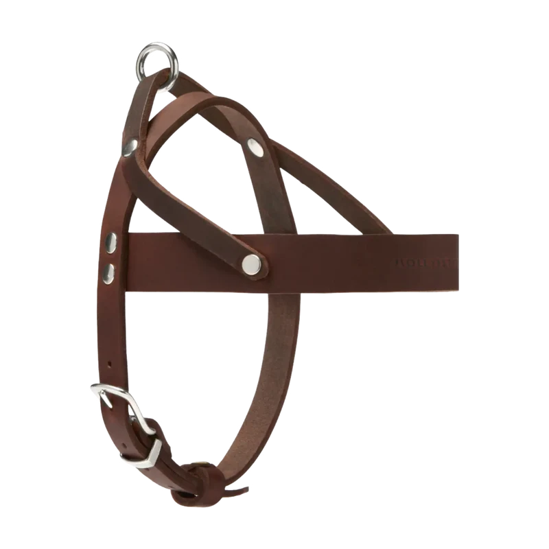 Butter Leather Geschirr