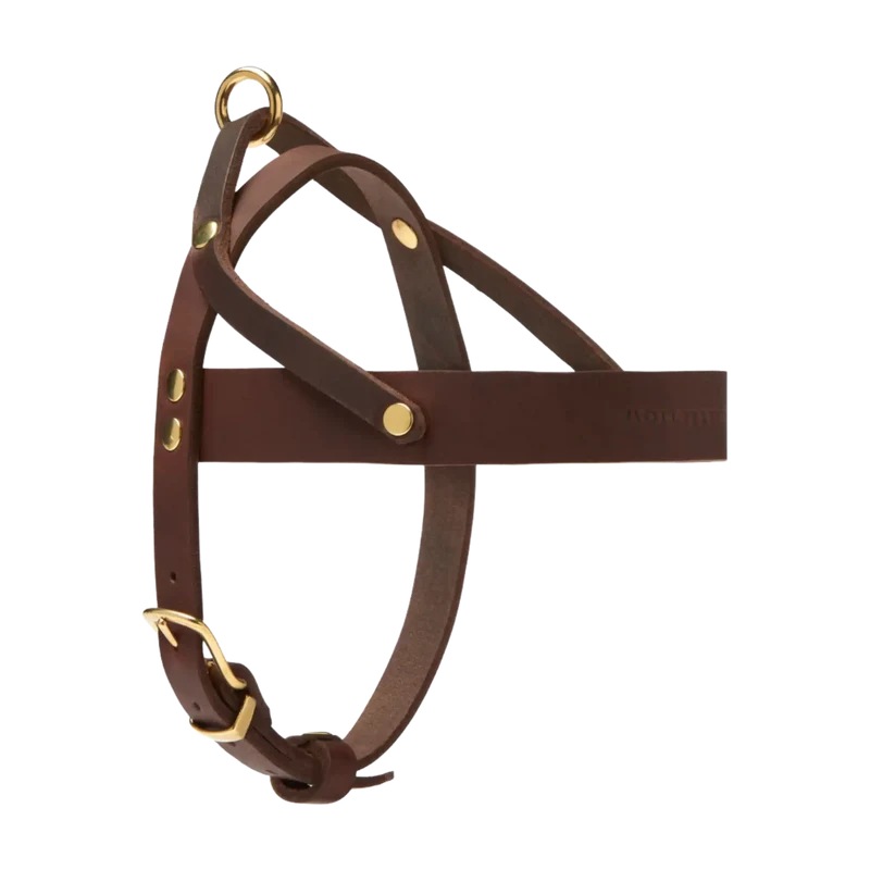 Butter Leather Geschirr