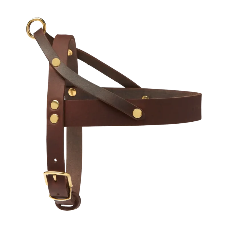 Butter Leather Geschirr