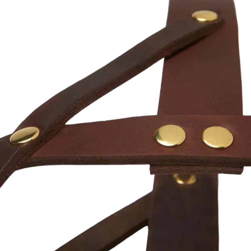 Butter Leather Geschirr