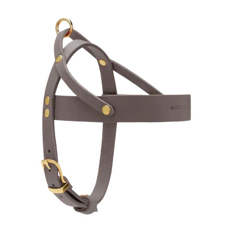 Butter Leather Geschirr