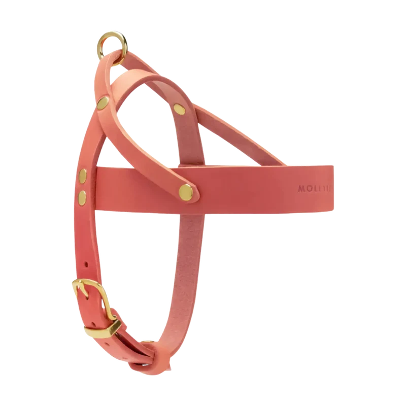 Butter Leather Geschirr