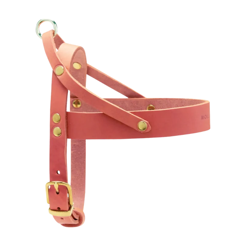 Butter Leather Geschirr