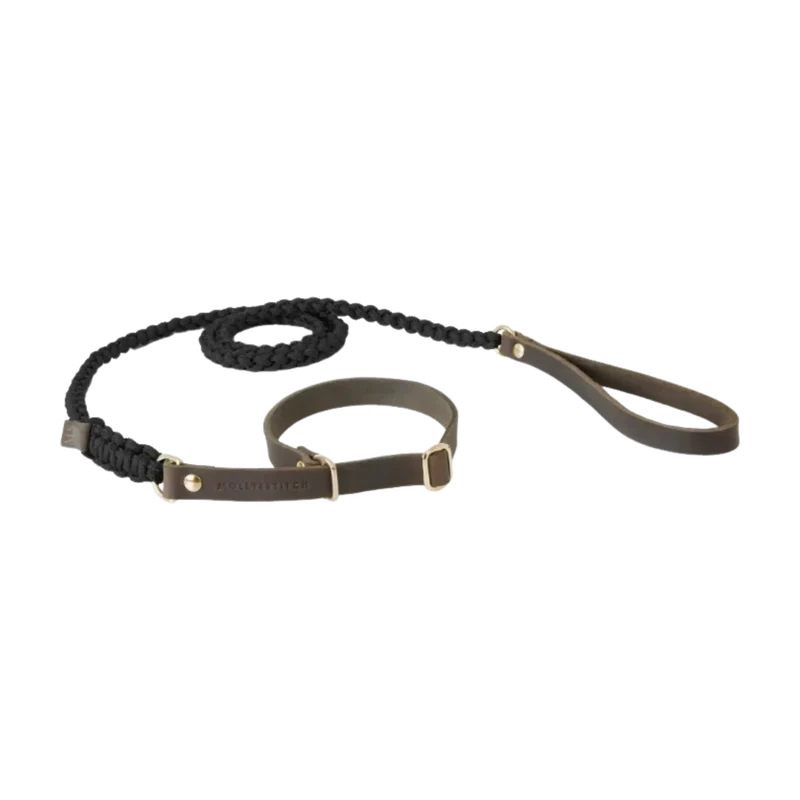 Touch of Leather Retrieverleine