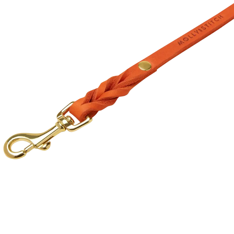 Butter Leather Leine