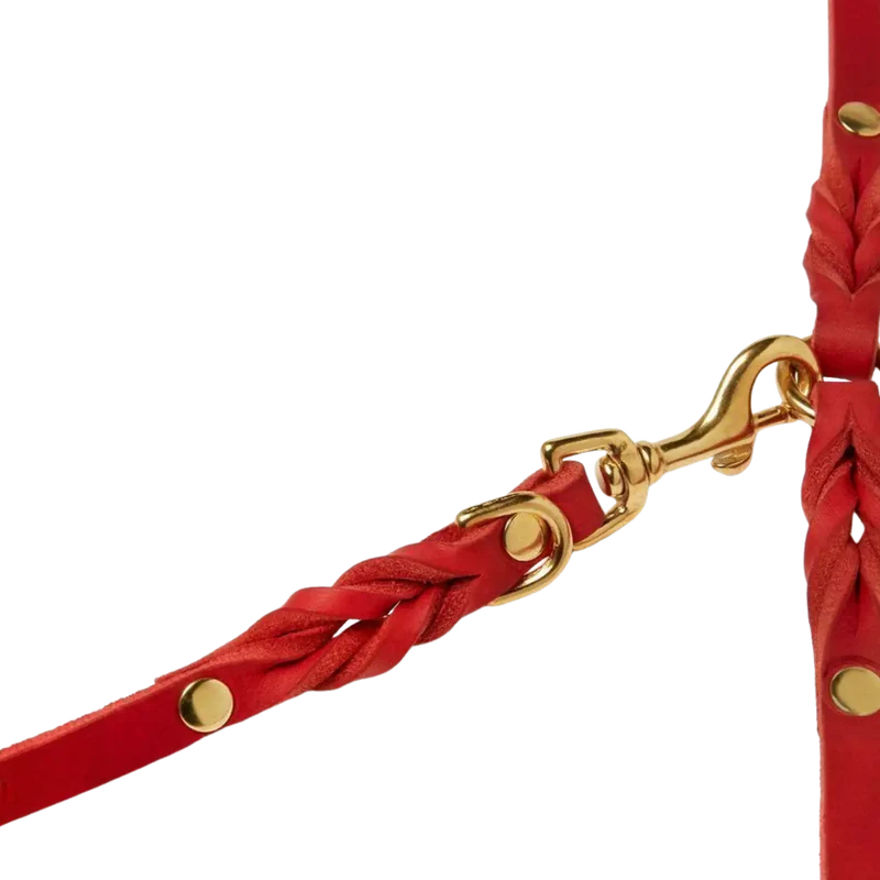 Butter Leather Leine