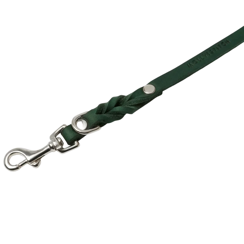 Butter Leather Leine