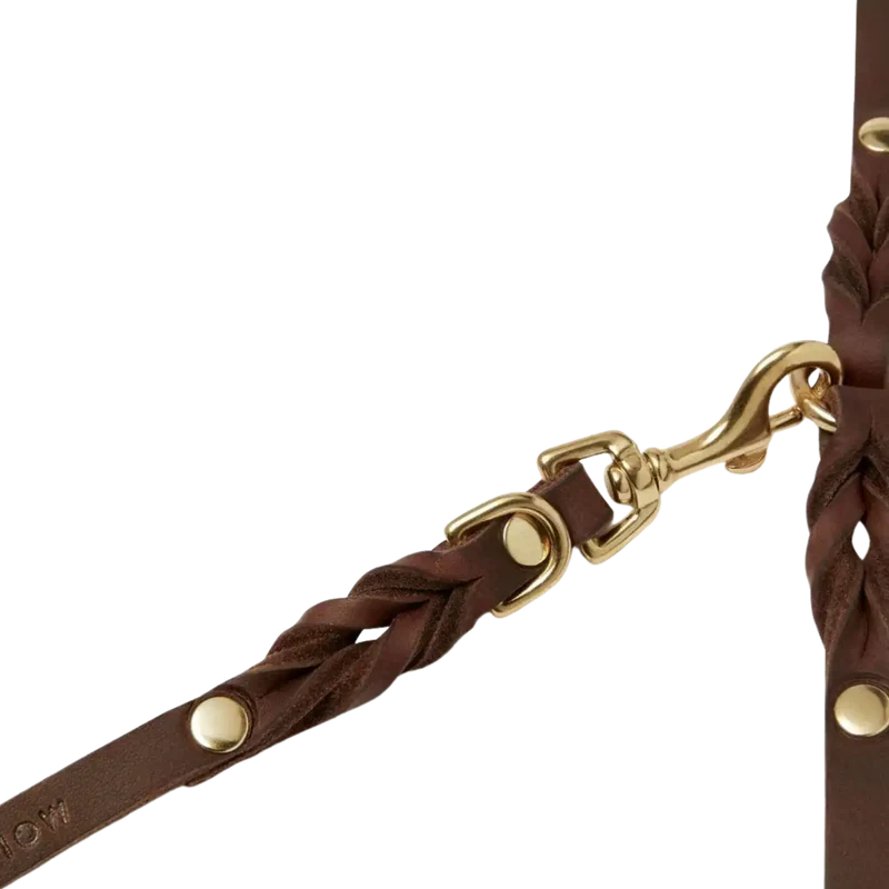 Butter Leather Leine