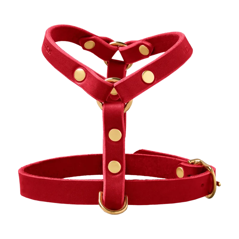 Butter Leather Y-Geschirr