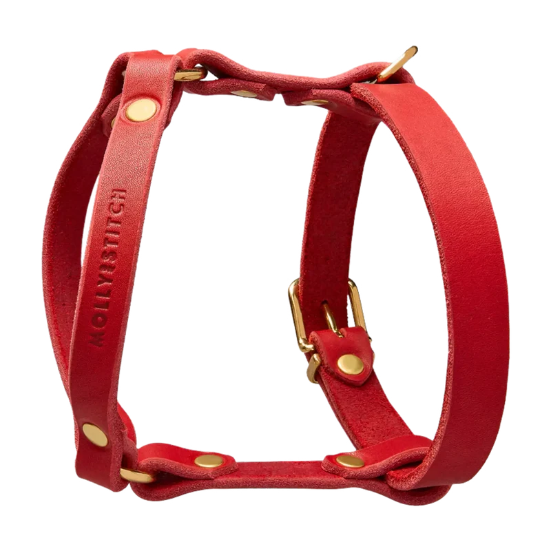 Butter Leather Y-Geschirr