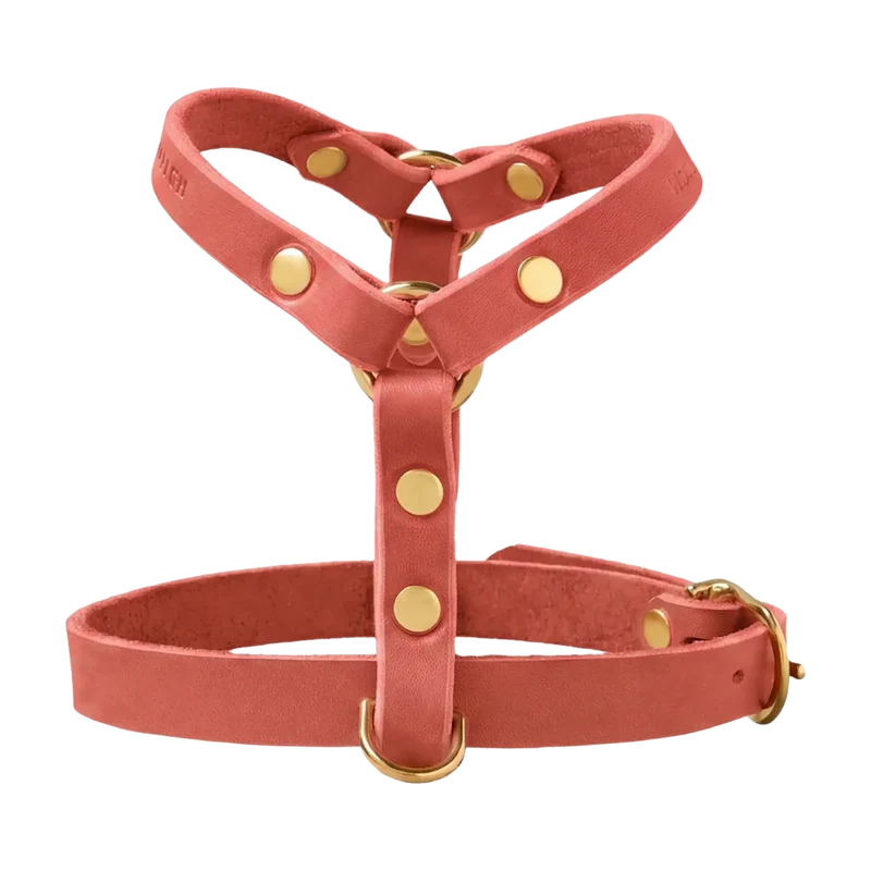 Butter Leather Y-Geschirr