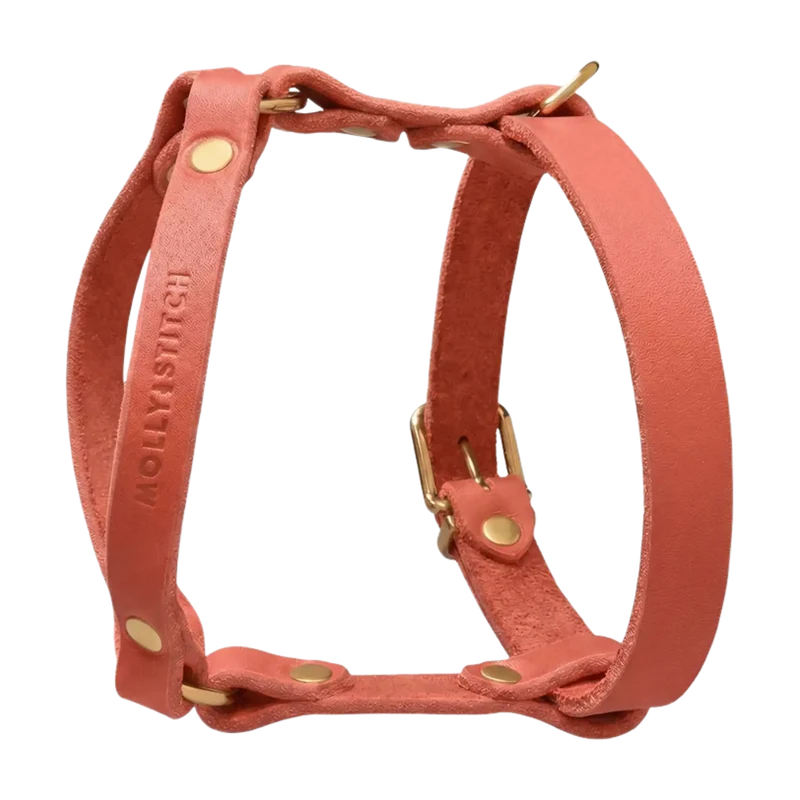 Butter Leather Y-Geschirr