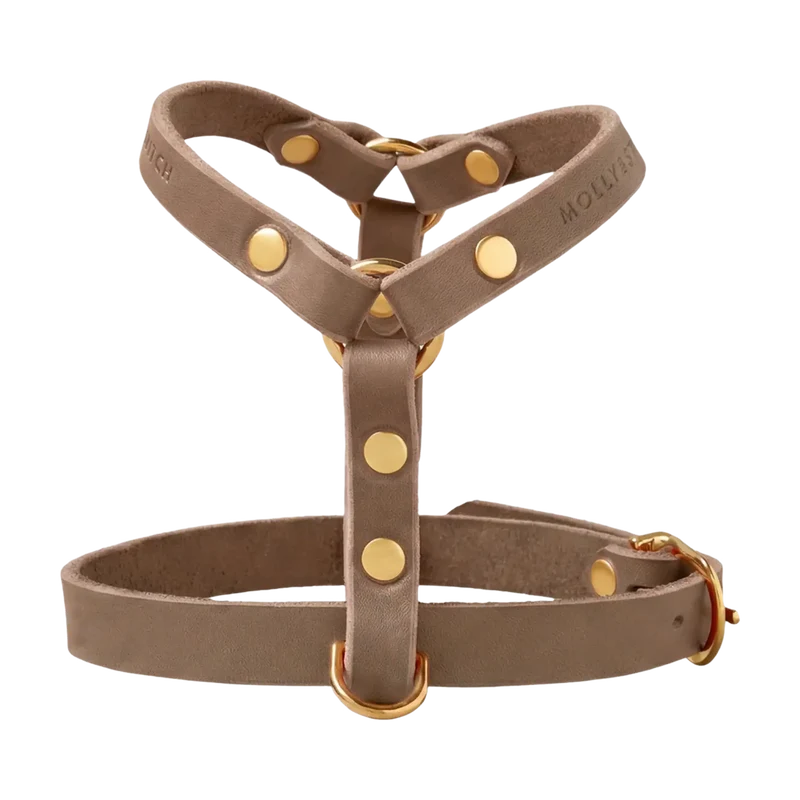 Butter Leather Y-Geschirr