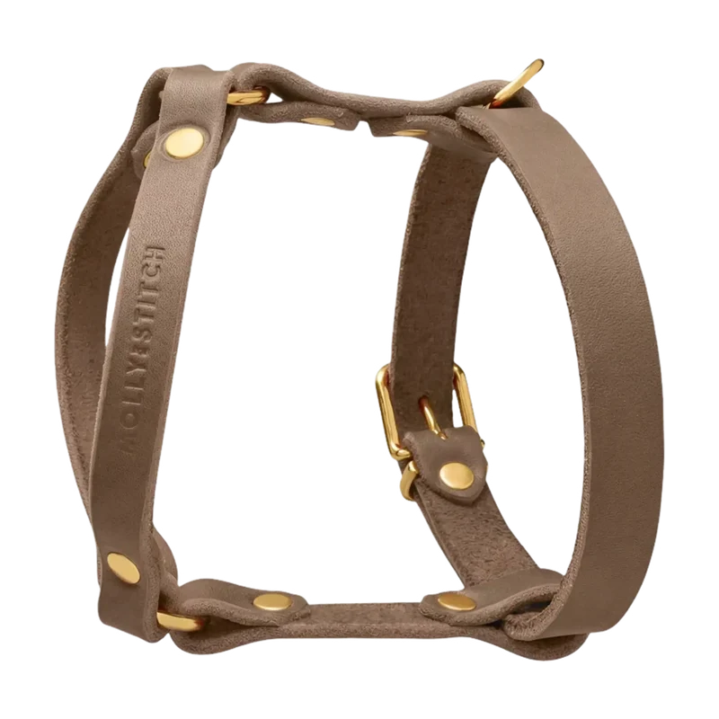 Butter Leather Y-Geschirr