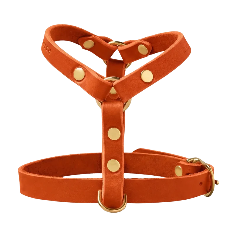 Butter Leather Y-Geschirr
