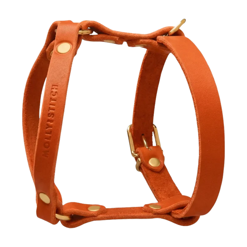 Butter Leather Y-Geschirr