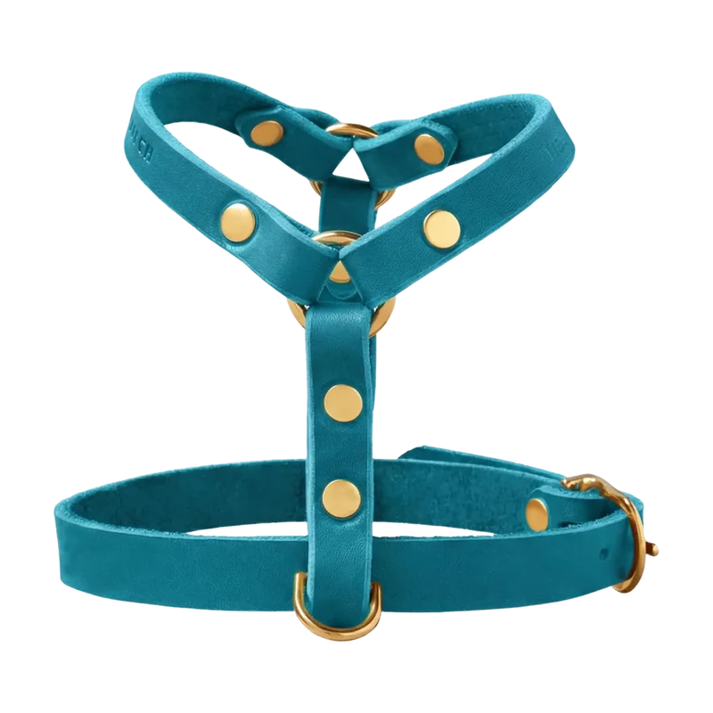 Butter Leather Y-Geschirr