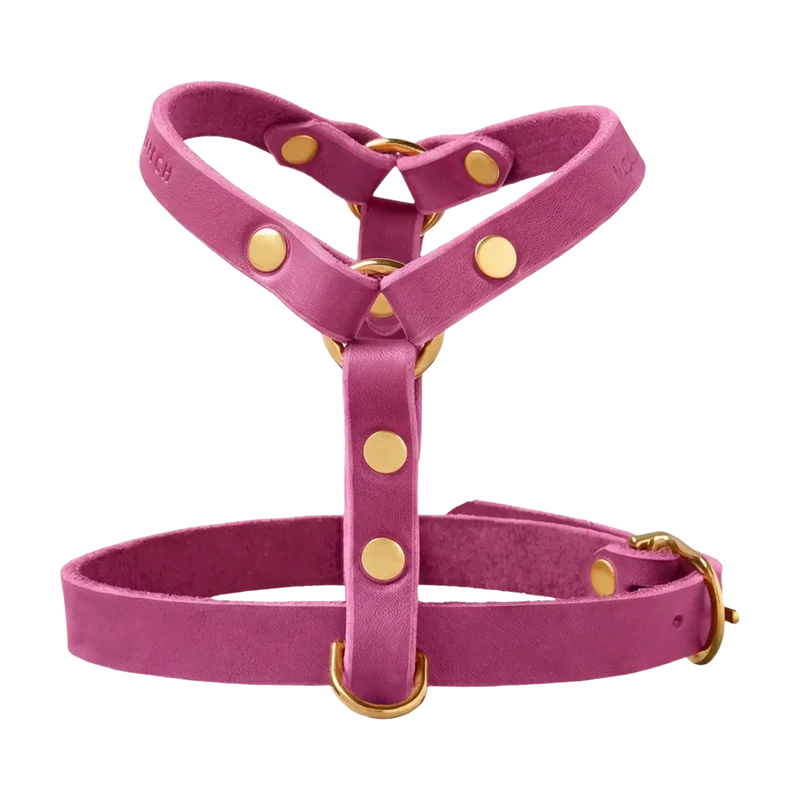 Butter Leather Y-Geschirr