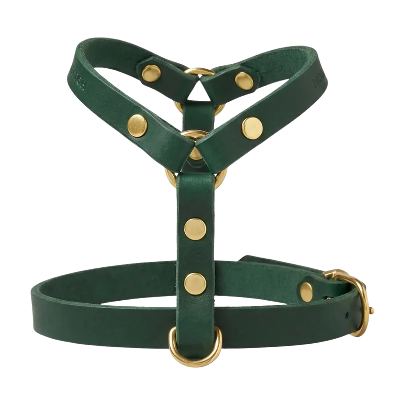 Butter Leather Y-Geschirr