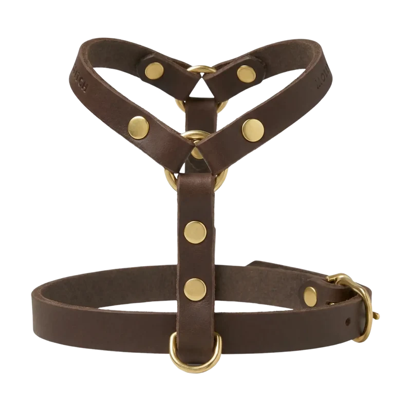 Butter Leather Y-Geschirr