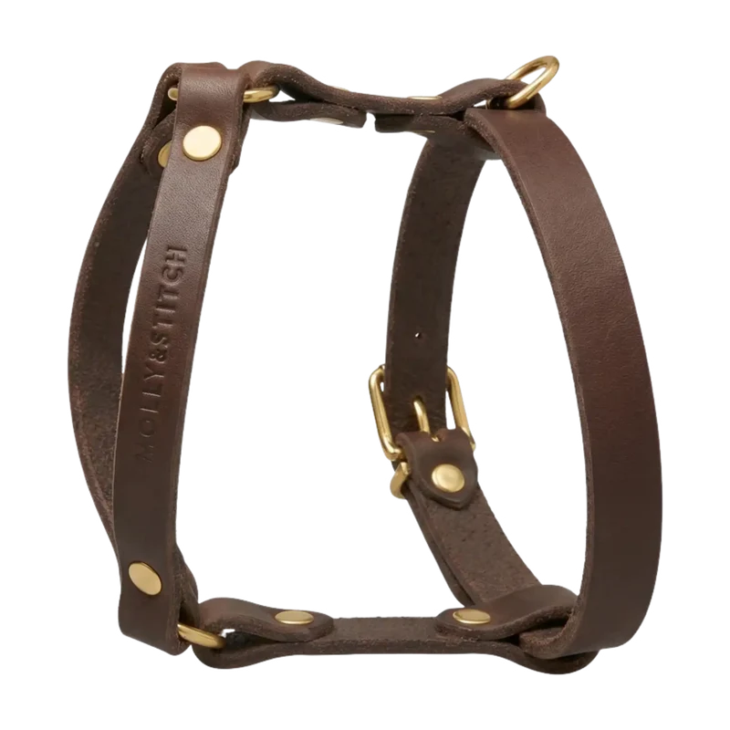 Butter Leather Y-Geschirr