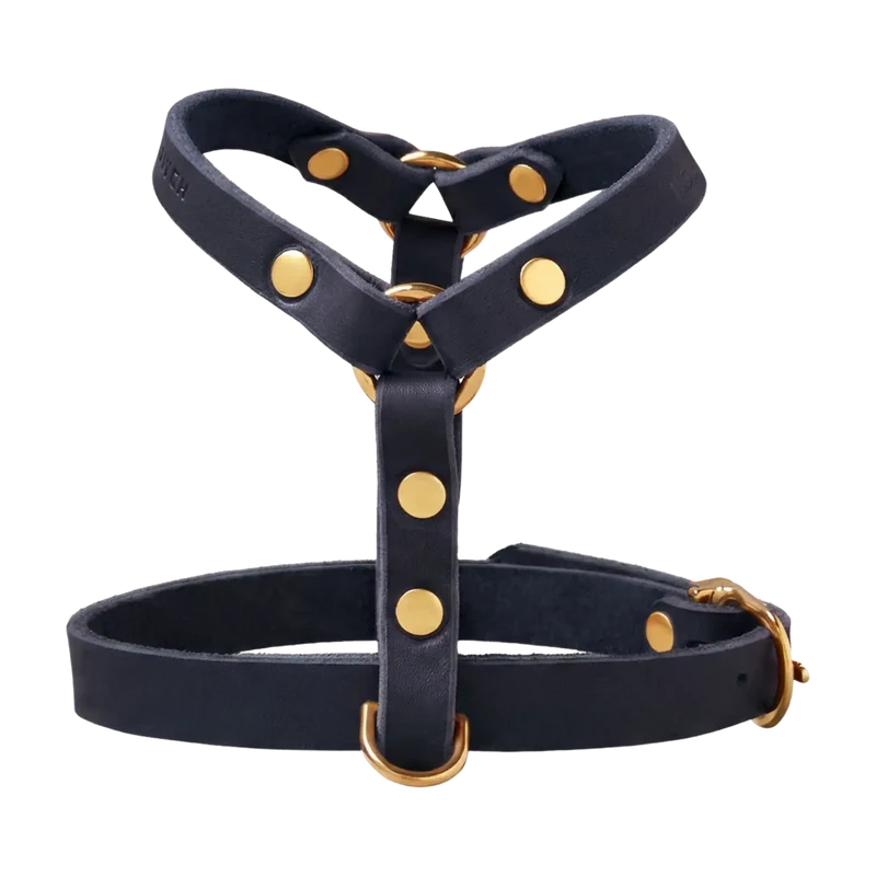 Butter Leather Y-Geschirr