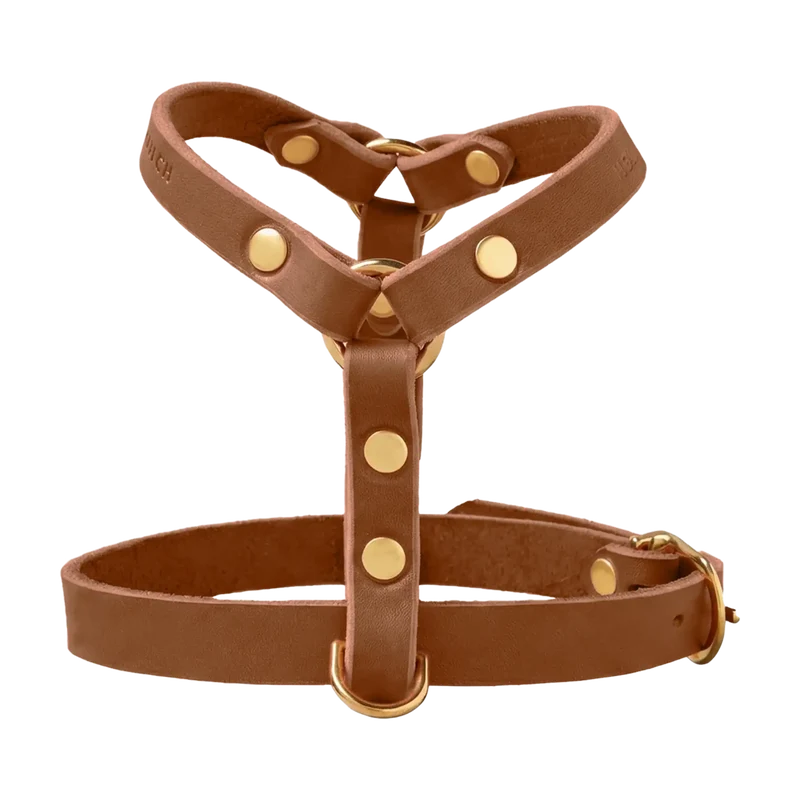 Butter Leather Y-Geschirr
