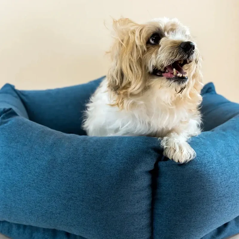 The Nest Bett