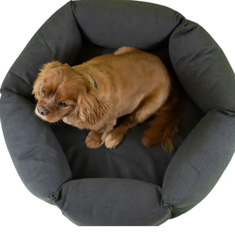 The Nest Bett
