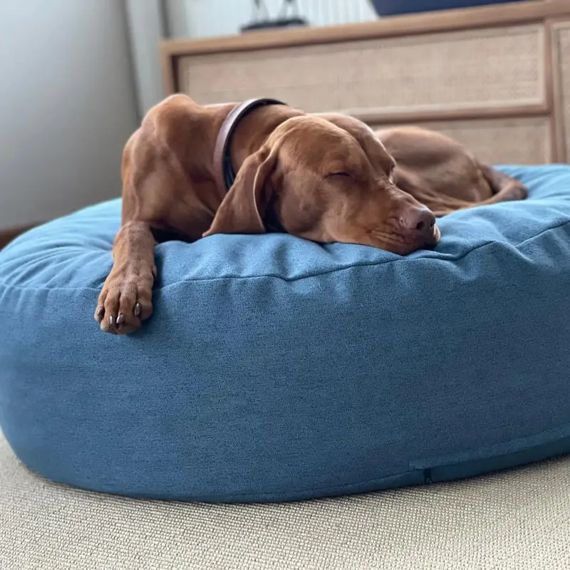 The Cloud Bett