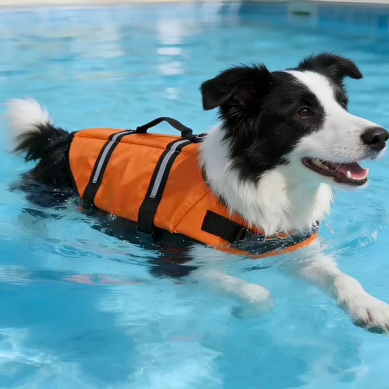 Schwimmweste für Hunde „AquaSafe“ – HUNDESCHATZ™
