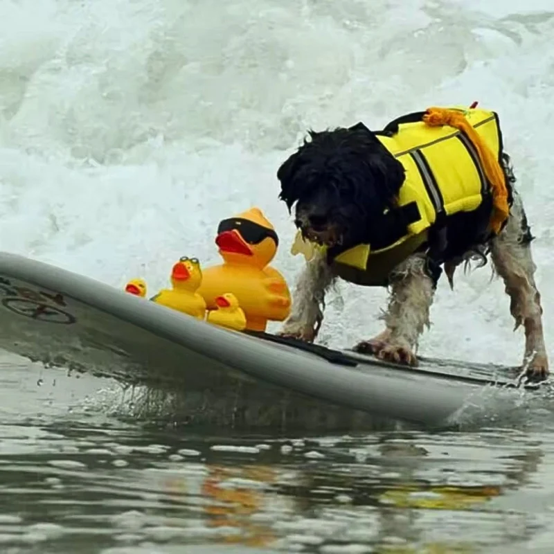 Schwimmweste für Hunde „AquaSafe“ – HUNDESCHATZ™