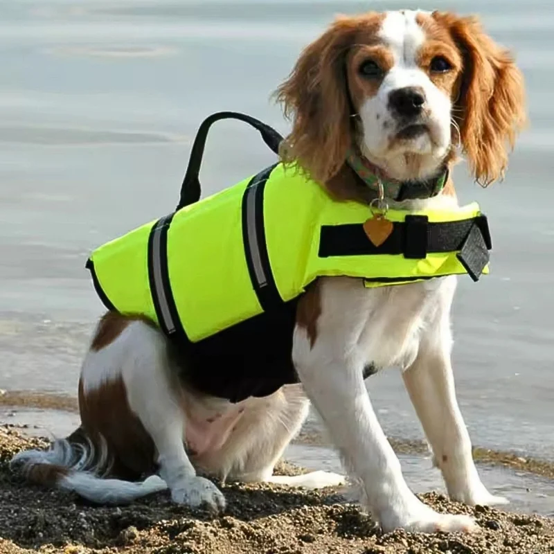 Schwimmweste für Hunde „AquaSafe“ – HUNDESCHATZ™