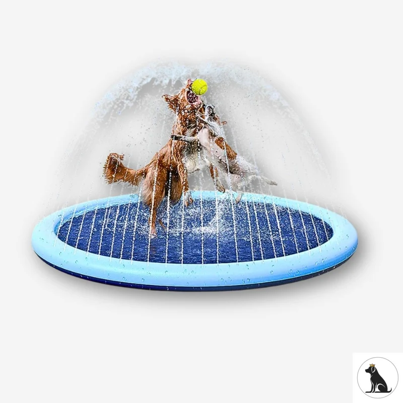 Hundepool mit Fontäne – rutschfest & bissfest – HUNDESCHATZ™