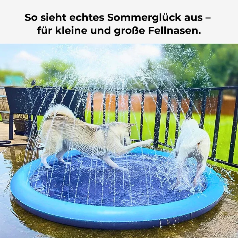 Hundepool mit Fontäne – rutschfest & bissfest – HUNDESCHATZ™