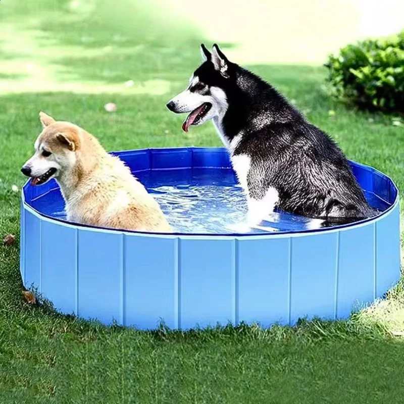 Hundepool XXL „Splash & Play“ – HUNDESCHATZ™