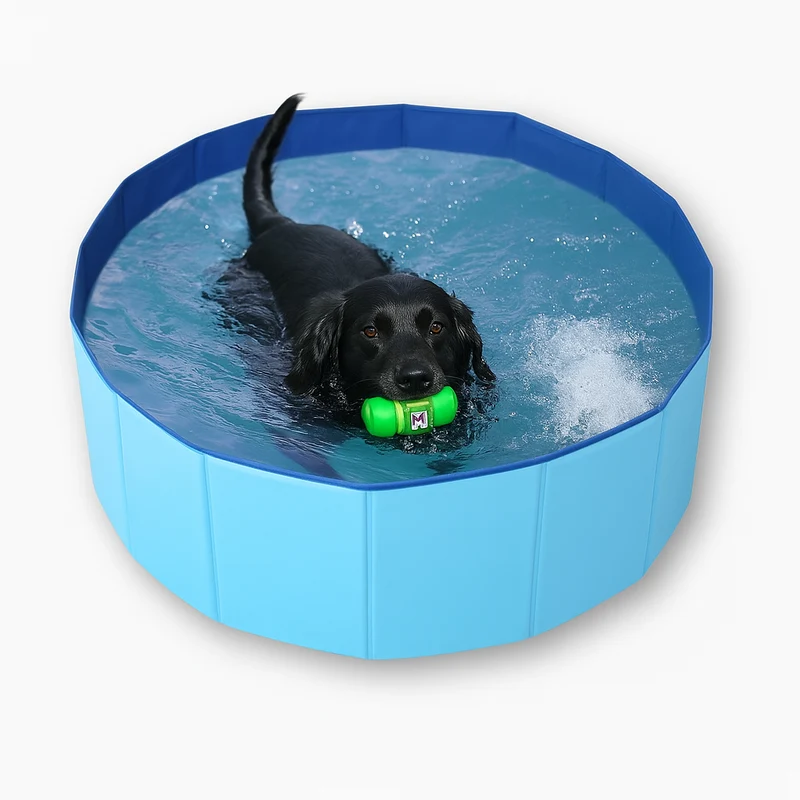Hundepool XXL „Splash & Play“ – HUNDESCHATZ™