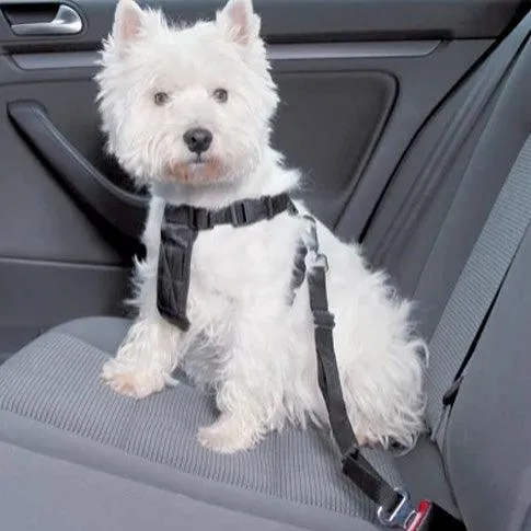 Trixie Sicherheitsgeschirr für Hunde