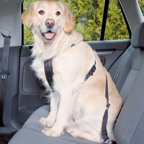 Trixie Sicherheitsgeschirr für Hunde