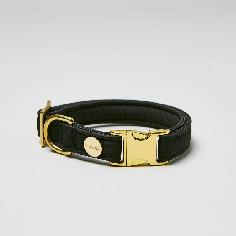 Halsband Softie SCHWARZ