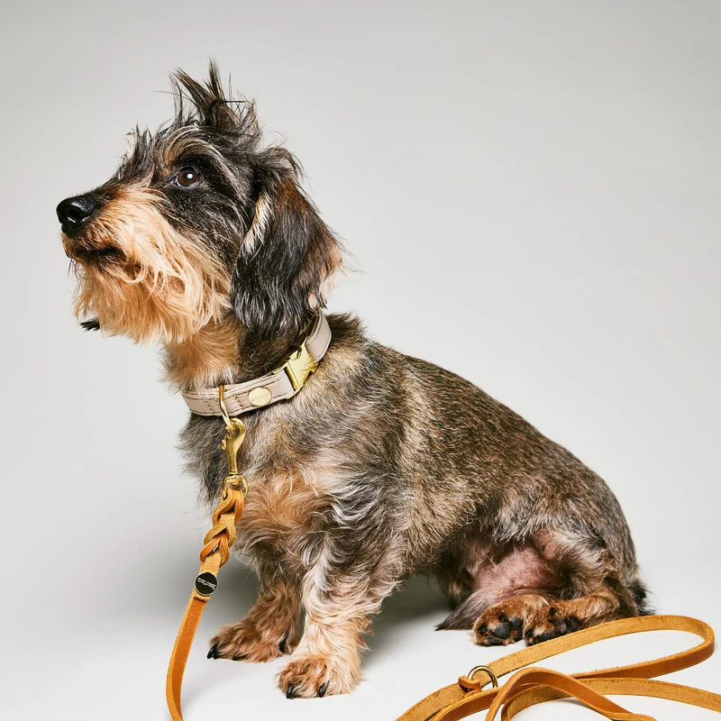 Halsband Softie BEIGE