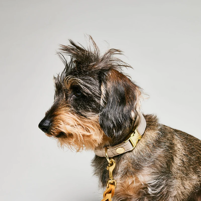 Halsband Softie BEIGE